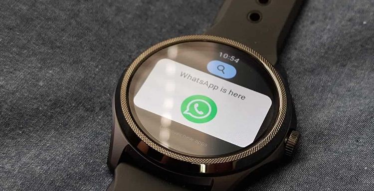 WhatsApp on Your Wear OS 3 Smartwatch’
