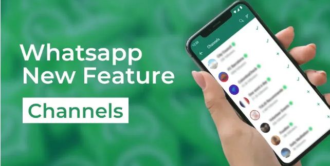 WhatsApp Channels Got 4 New Features