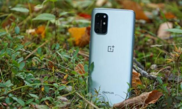 OnePlus 9 Series Update